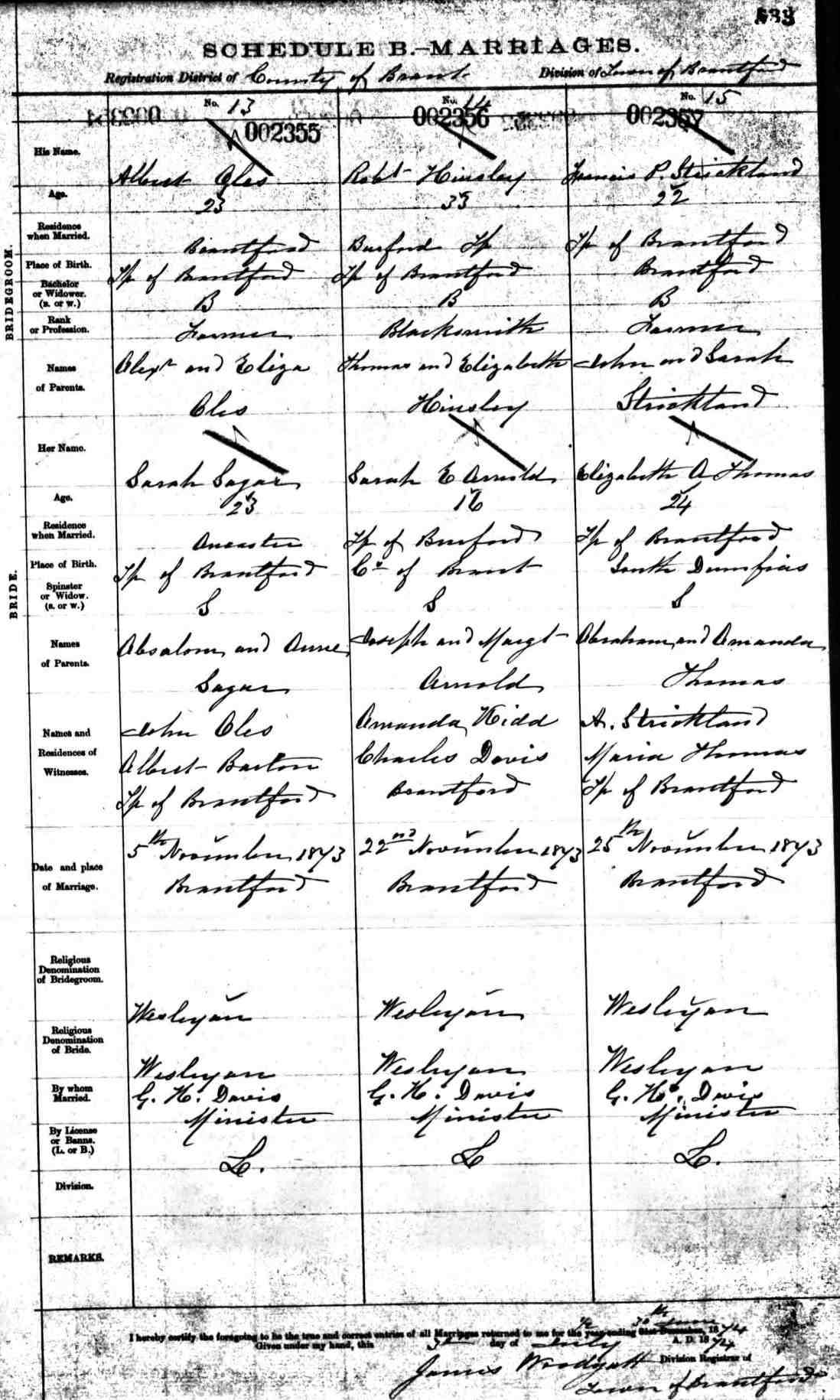 marriage record - francis strickland + elizabeth thomas 1873.jpg